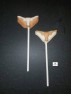 1426 Logo Texas Longhorns Chocolate or Hard Candy Lollipop Mold 1426 Logo Texas Longhorns Chocolate or Hard Candy Lollipop Mold